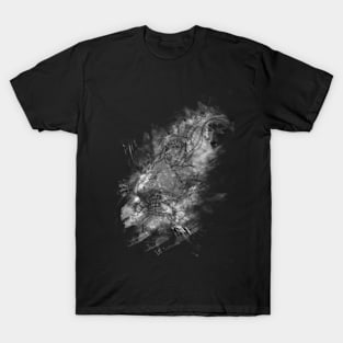 darkness konosuba T-Shirt